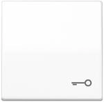 Jung Wippe Symbol T&Uuml;R aws AS 591 T WW AS591TWW