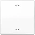 Jung Wippe Symbole aws AS 591 P WW AS591PWW