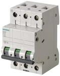 Siemens Dig.Industr. LS-Schalter 5SL6306-6