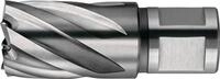 Fein Kernbohrer NOVA 50 D.31mm Weldon 63134310052