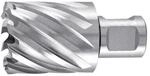 Ruko Kernbohrer D.32mm HSS Schnitt-T.30mm Weldon RUKO Pr&auml;zisionswerkzeuge