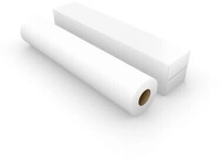 Canon Plotterpapier IJM123 97001078 594mmx30m 130g wei&szlig; 241000100