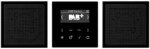Jung Smart Radio DAB+ DAB LS2 SW DABLS2SW