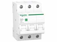 Schneider Electric Leitungsschutzschalter R9F24316