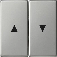 Gira Wippe 2fach Pfeilsymbol 0294600