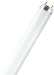 OSRAM LAMPE Leuchtstofflampe L 36/76 Natur d.Luxe