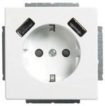 Busch-Jaeger SCHUKO-2x USB Steckdose 20 EUCB2USB-84 2CKA002011A6273