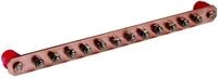 DEHN Potentialausgleichschiene PAS I 12AP M10 CU 472237