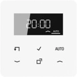 Jung Timer Standard, Display CD 1750 D WW CD1750DWW