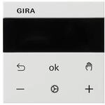 Gira RTR Display 539303