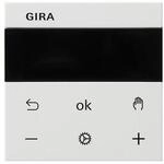 Gira RTR Display 539327