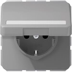 Jung SCHUKO-Steckdose 16A 250V CD 1520 BFNAKL GR CD1520BFNAKLGR