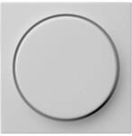 Gira Abdeckung 0650015