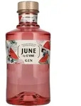 JUNE by G'Vine Gin Watermelon 37,5% Vol. 0,7l