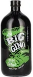 Big Gino Gin MAY CHANG 45% Vol. 1l