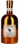Bottega BAC&Ucirc;R Distilled Dry Gin 40% Vol. 0,7l