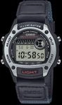 CASIO Timeless Collection Uhr W-220HF-8AV | Silber/Schwarz