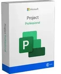 Microsoft Project Professional