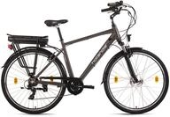 Hollandia E-Citybike Zagon 28" grau