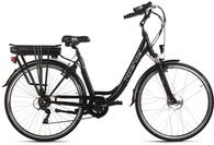 Hollandia E-Citybike E-Active 28" schwarz