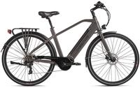 Hollandia E-Trekkingbike Mantova 28" grau
