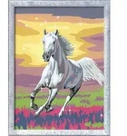 Ravensburger CreArt 23768 - Galoppierender Schimmel - Malen nach Zahlen Pferde f&uuml;r