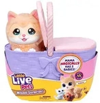Little Live Pets Mama Surprise K&auml;tzchen