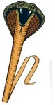 G&uuml;nther Flugmodelle - Einleiner-Drachen aus Polyester COBRA