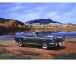 Revell 07242 - Shelby Mustang GT 350 H