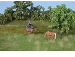 NOCH 07403 - Natur plus Wiese Sommer