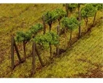 Faller 181254 - H0 - TT - N - Weinreben