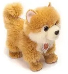 Teddy-Hermann - Zwergspitz, 22 cm - braun|wei&szlig;