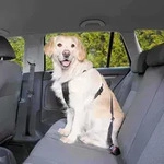 Trixie Auto-Sicherheitsgeschirr schwarz M 50-70 cm Hundezubeh&ouml;r