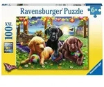 Ravensburger Puzzle - Hunde Picknick, 100 XXL Teile