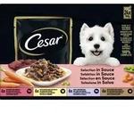 Cesar Hundenassfutter Selection in Sauce Multipack