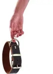 Hunter Halsband Aalborg Special 65 dunkelbraun