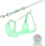 Trixie Hundezubeh&ouml;r Junior Welpen-Softgeschirr mit Leine Ma&szlig;e: 26-34 cm / 10 mm