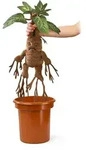 The Noble Collection - Harry Potter Mandrake Interactive Plush &ndash; Schreiende Alraune