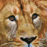 DIAMOND DOTZ - Diamond Painting - L&ouml;we