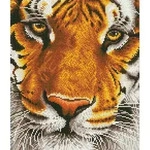 DIAMOND DOTZ - Diamond Painting - Tiger