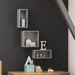 PAIDI Wandbox 2272529