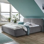 Meise Polsterbett Magnum mit Bettkasten 2261-89-5000