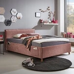 Meise Polsterbett Fun 2223-99-3000