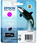 Epson T7603 (C13T76034010) Druckerpatrone Vivid Magenta