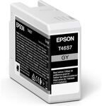 Epson T46S7 - Grau - Druckerpatrone
