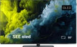 Loewe We. SEE 55 oled​