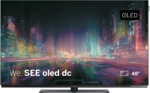Loewe We. SEE 48 oled dc