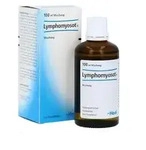 Lymphomyosot N Tropfen 100ml