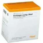 Solidago comp. Heel Ampullen 100 St.