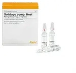 Solidago comp. Heel Ampullen 10 St.